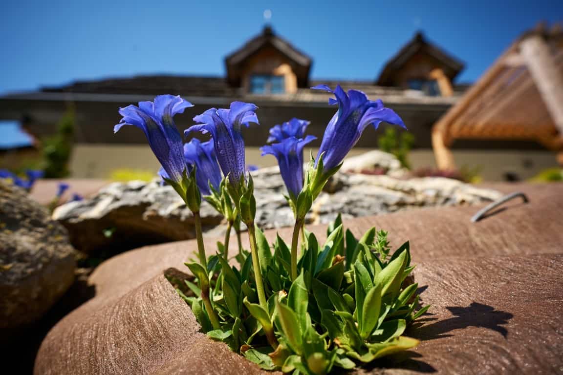 Holiday Home Natur Bajta foto 9