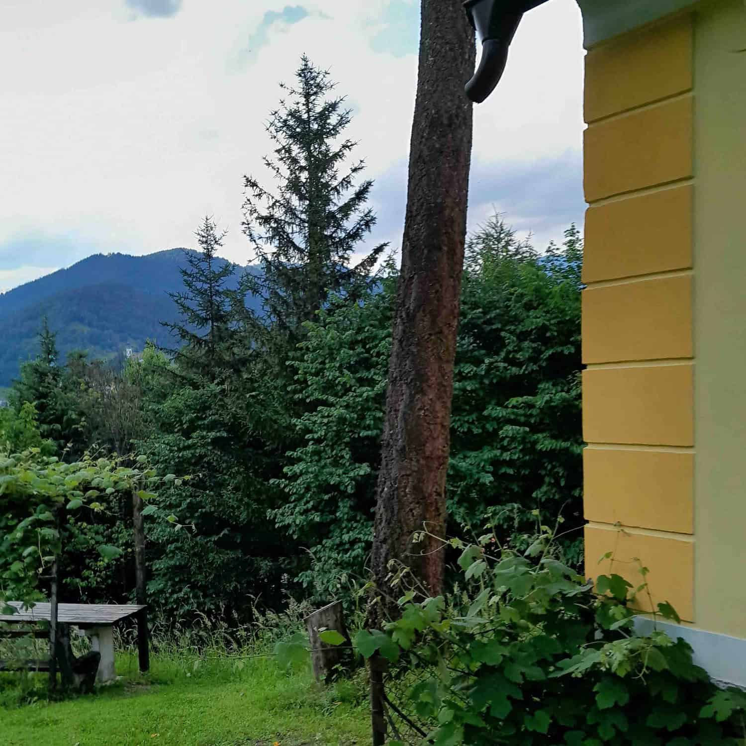 Holiday House Pekovo 1825 foto 3