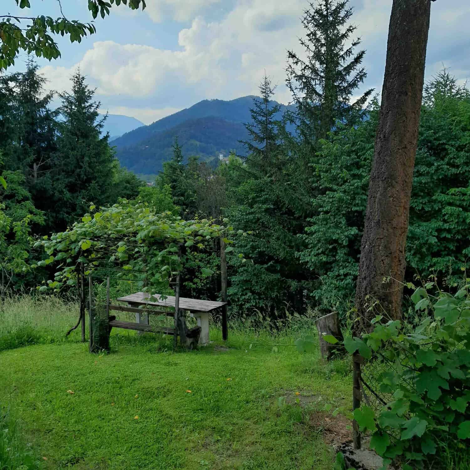 Holiday House Pekovo 1825 foto 4