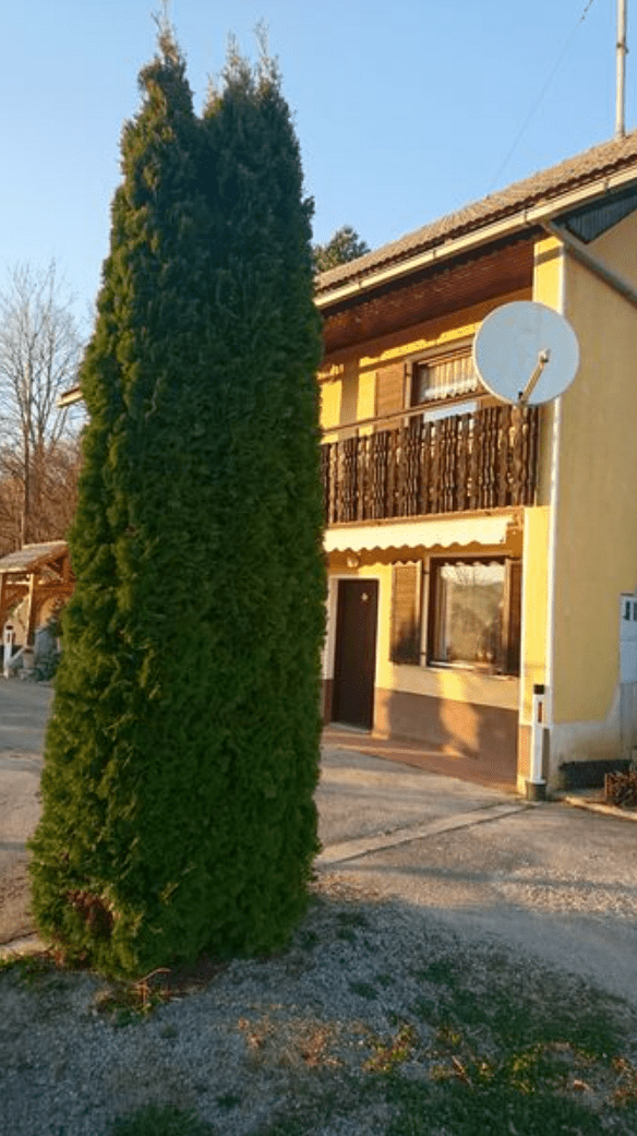 Holiday Home Ivanec foto 6