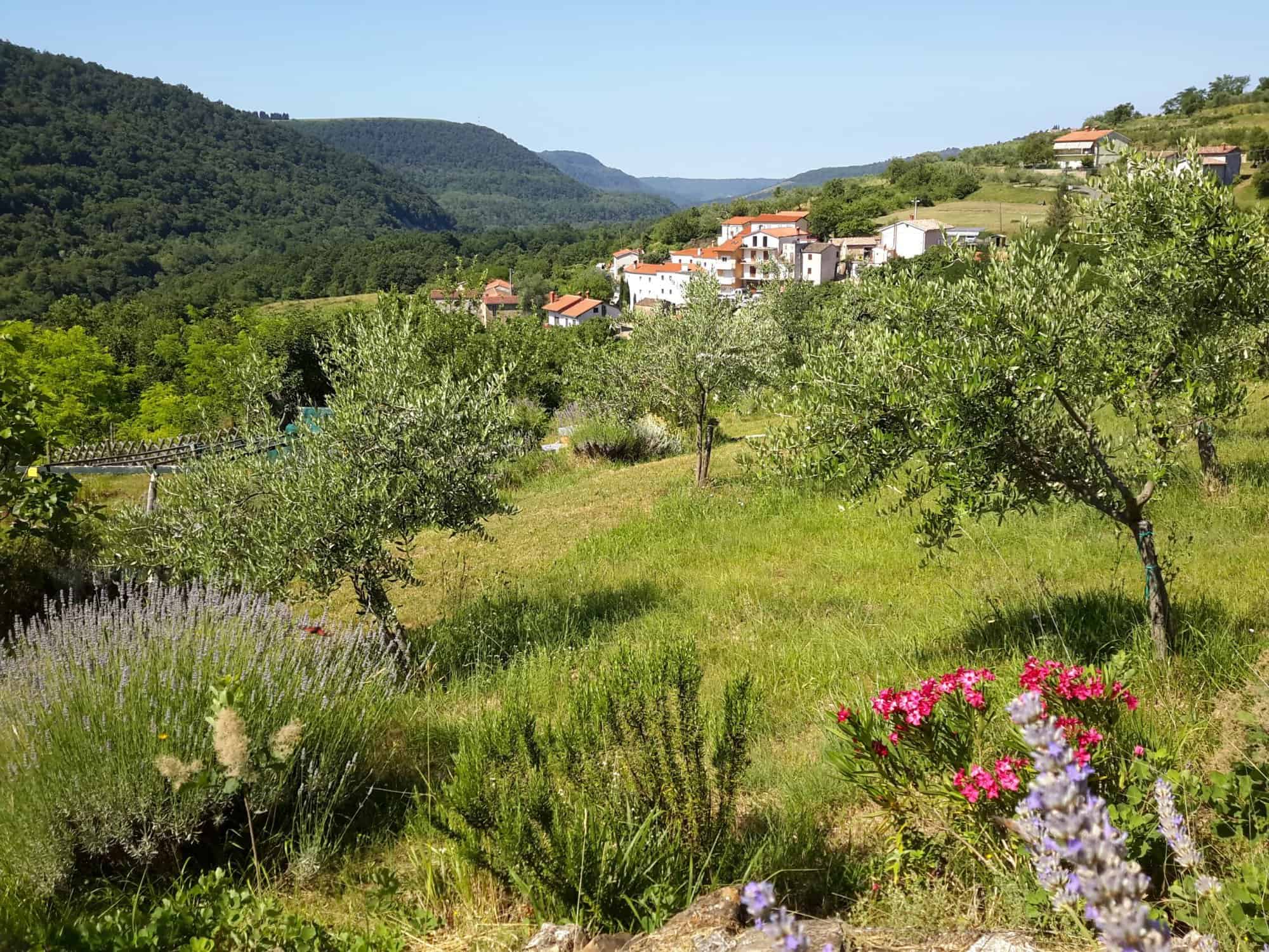 Holiday House in Istria foto 4